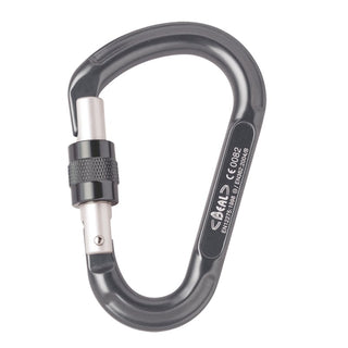 Charger l'image dans la galerie, Be Lock Screw, mousqueton HMS