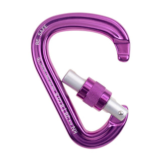 Load image into Gallery viewer, Be Safe - fuchsia, HMS carabiner