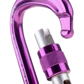 Load image into Gallery viewer, Be Safe - fuchsia, HMS carabiner