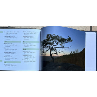 Charger l'image dans la galerie, Castles Made of Sand (2025), topo-guide escalade