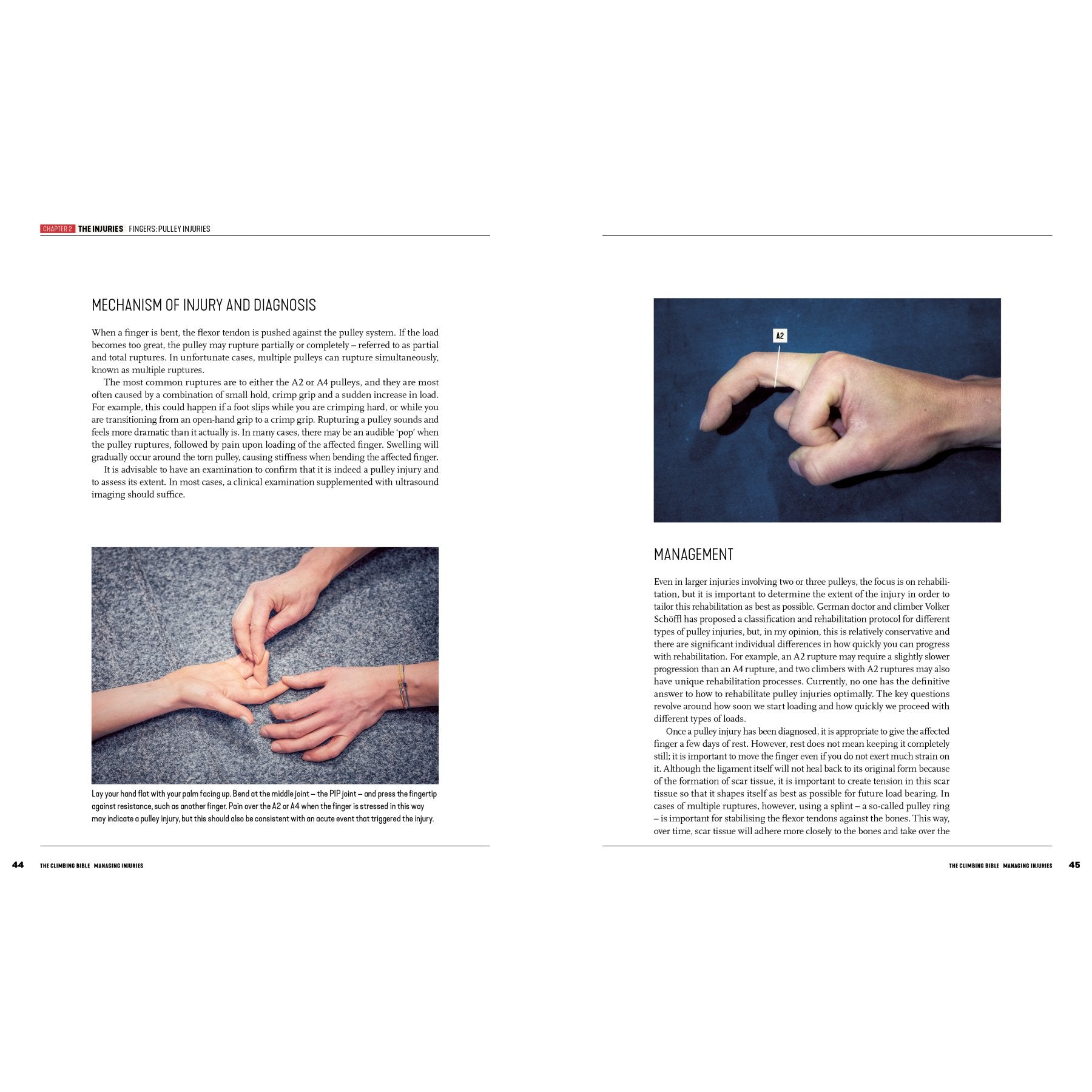 The Climbing Bible - prévention des blessures et réadaptation, guide escalade