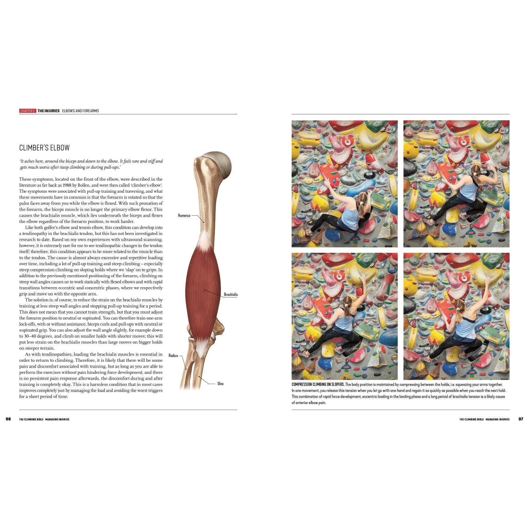 The Climbing Bible - prévention des blessures et réadaptation, guide escalade