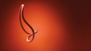 Load and play video in Gallery viewer, Volta (9.2mm, 80m) - orange, climbing rope by Petzl.