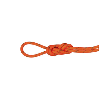 Afbeelding in Gallery-weergave laden, Alpine (8.0mm, 60m) - dry, halftouw