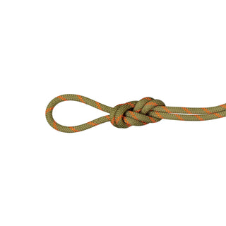 Afbeelding in Gallery-weergave laden, Alpine (8.0mm, 60m) - dry, halftouw