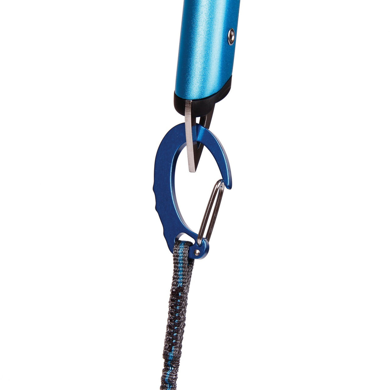 Hydra, mountaineering leash