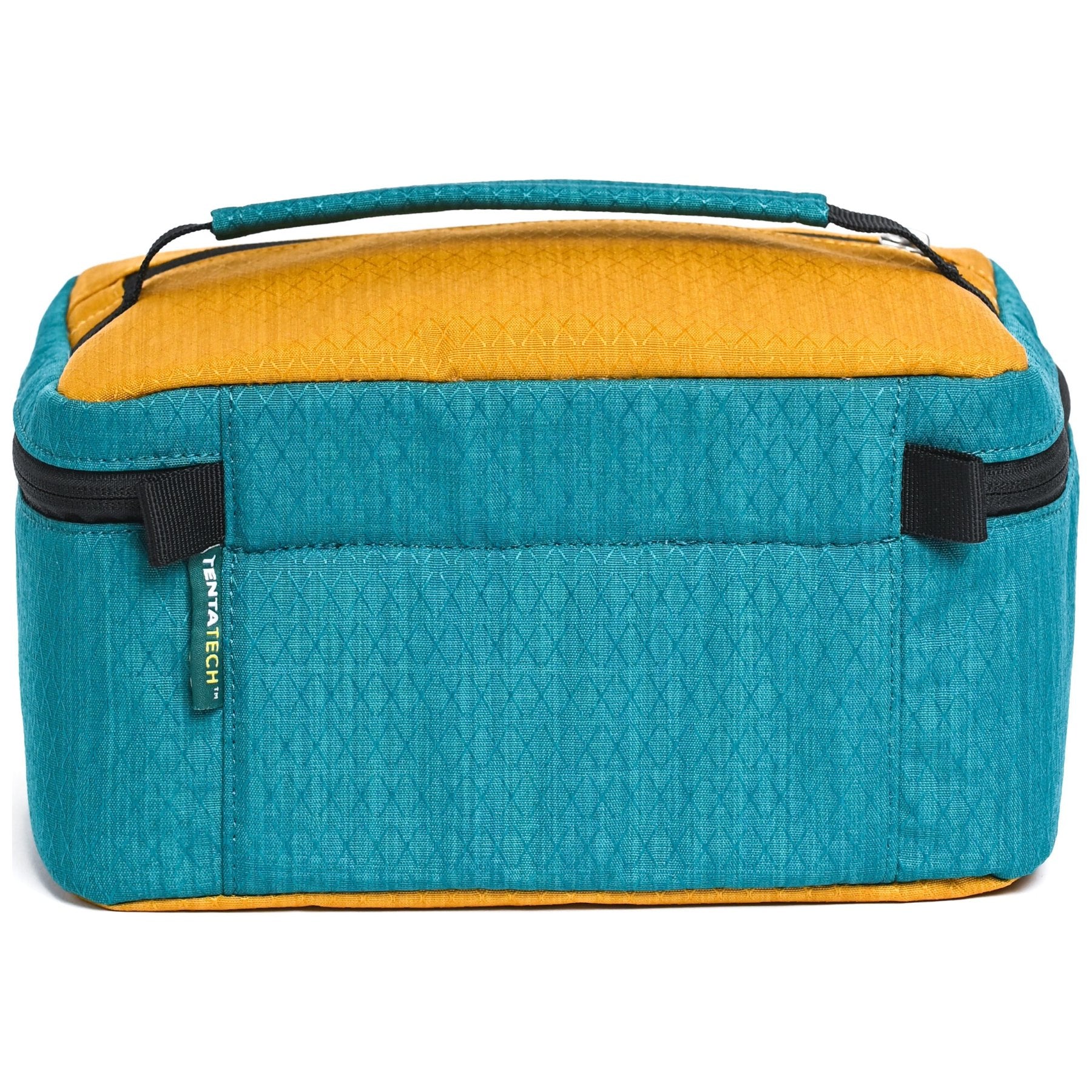 Anemone, chalk bucket