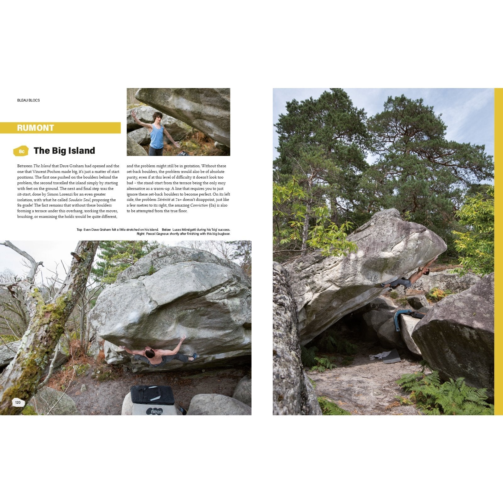 Bleau Blocs (Anglais), topo-guide escalade