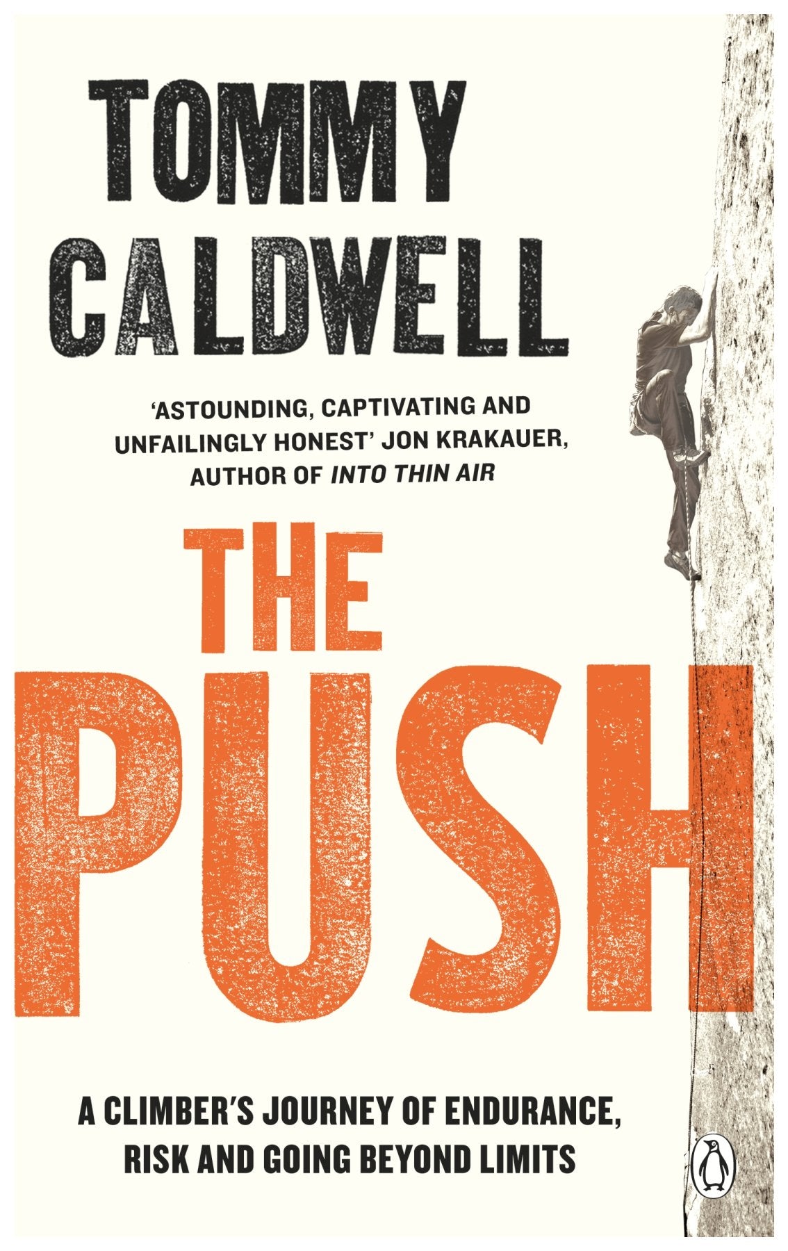 The Push  Paperback
