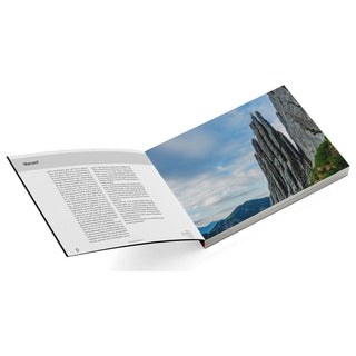 Load image into Gallery viewer, Türme - 50 exposed climbing routes (German), guidebook
