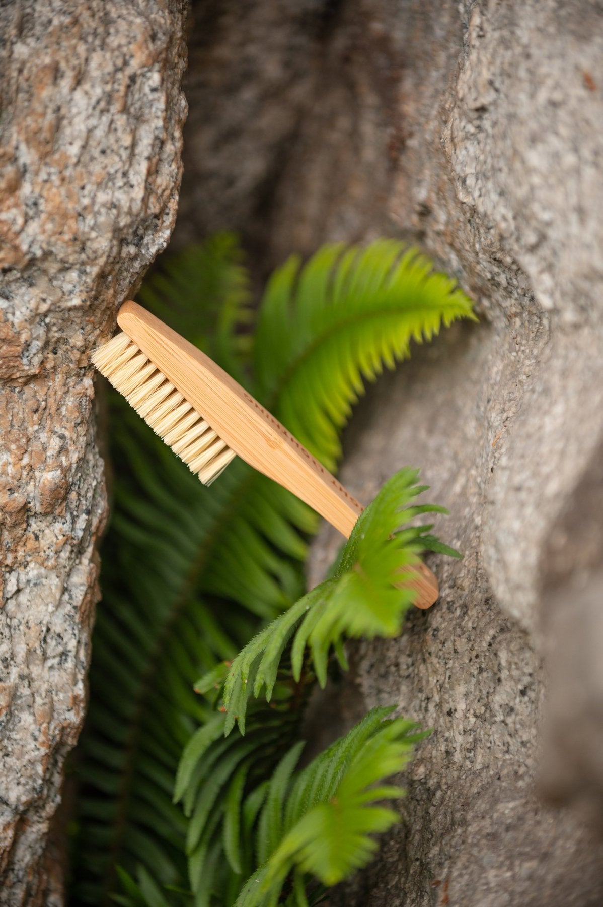 Vegan Eco-Brush, brosse d'escalade