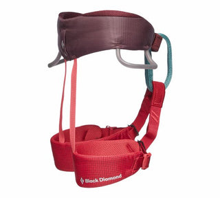 Load image into Gallery viewer, Momentum Kid&#39;s - wild rose, kid&#39;s climbing harness
