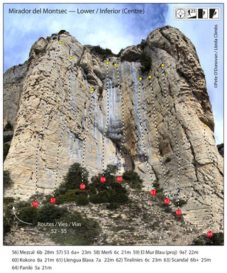 Afbeelding in Gallery-weergave laden, Lleida Climbs (2019), guidebook
