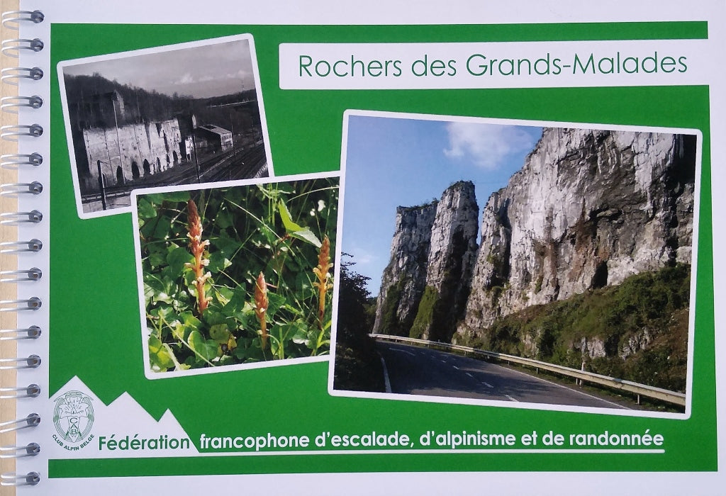 Rochers des Grands-Malades (2016), topo-guide